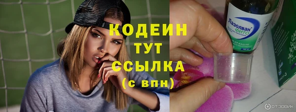 гашик Абаза