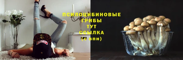 apvp Алексеевка