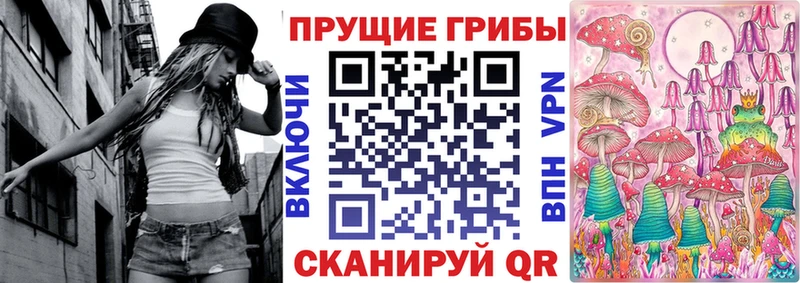 как найти   Гаврилов Посад  Галлюциногенные грибы MAGIC MUSHROOMS 